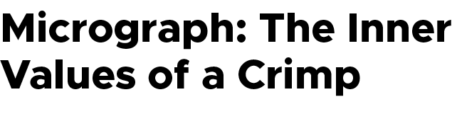 Micrograph: The Inner Values of a Crimp