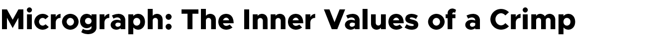 Micrograph: The Inner Values of a Crimp