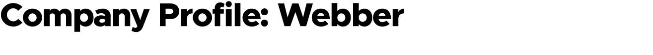 Company Profile Title