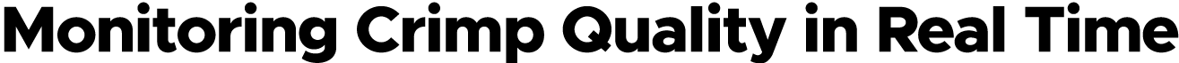 Company Profile Title