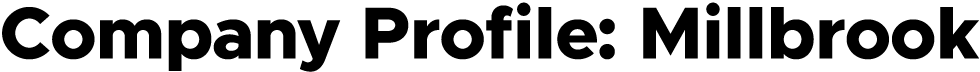 Company Profile Title