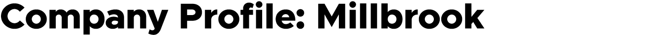 Company Profile Title
